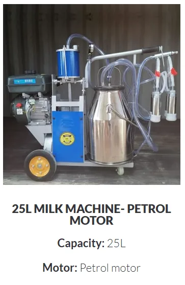 Piston Style 25 L — Petrol · Single Point