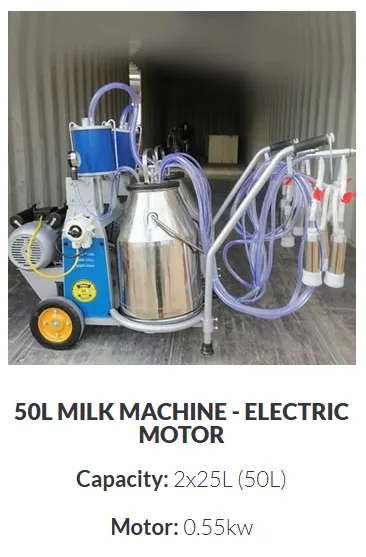 Piston Style 50 L — Electric · Double Point