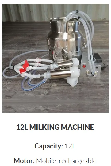 Portable 12 L — Rechargeable · Single Point