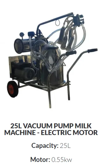 Vacuum Pump 25 L — Electric · Single Point