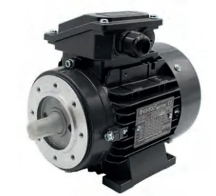 Motor HP 0.75 For FMP55 Three-phase